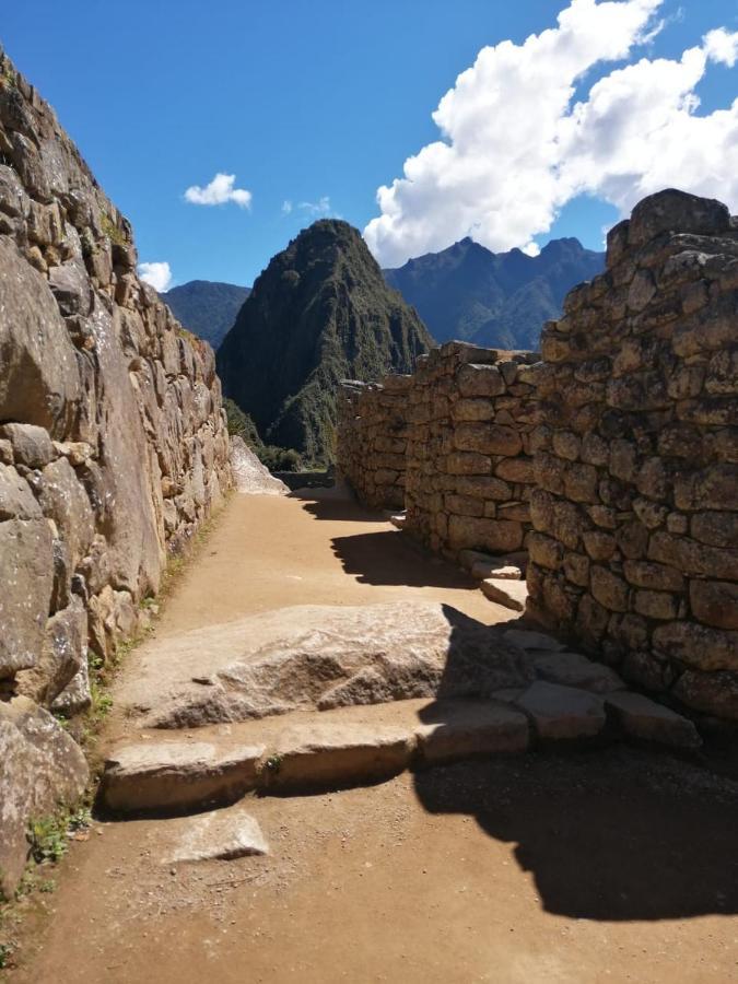 Peru Coca B&B Machupicchu Exteriör bild