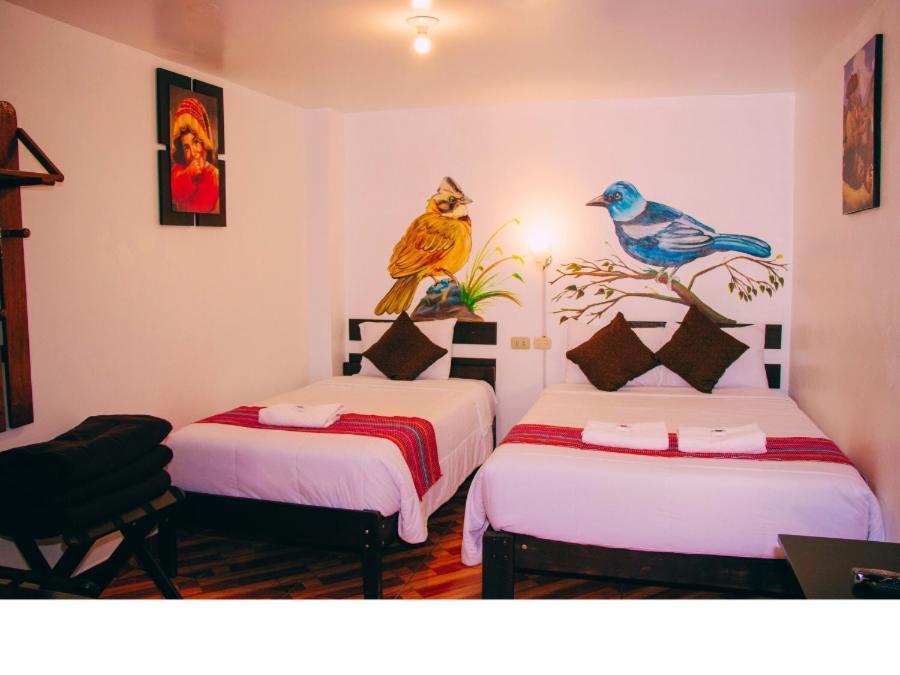 Peru Coca B&B Machupicchu Exteriör bild
