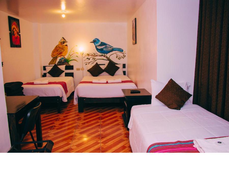 Peru Coca B&B Machupicchu Exteriör bild
